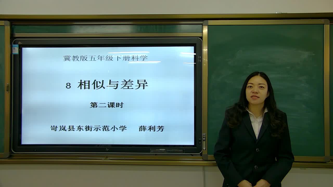 《相似与差异》 第二课时 主讲人:薛利芳