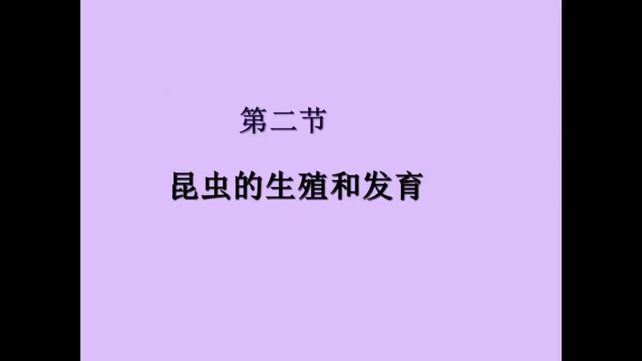 第二节昆虫的生殖和发育  主讲：郑丽丽