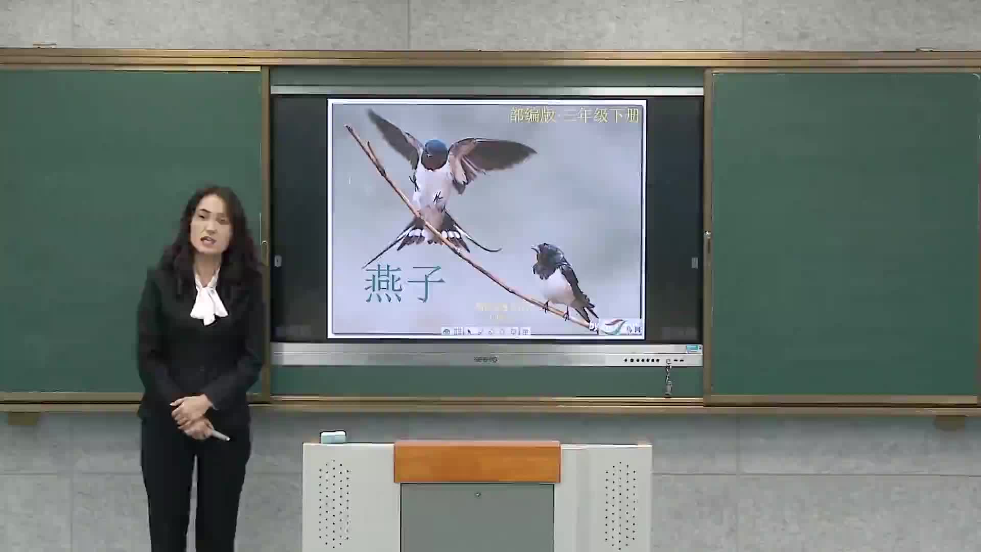 《燕子》第一课时    主讲：王晓平