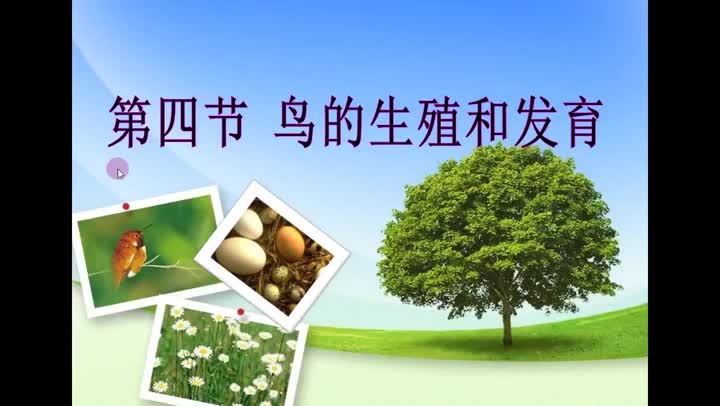 71bbf2777f07456e8083521098ecf8ec-《鸟类的生殖和发育》ffe13ccdfc2a82e441b6ab5ef22e3ee5-ld