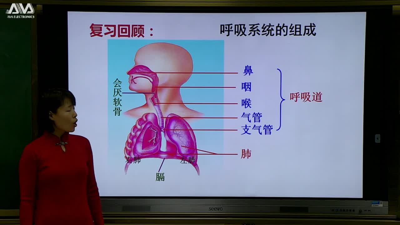 第三章第二节复习课   主讲：段夏红