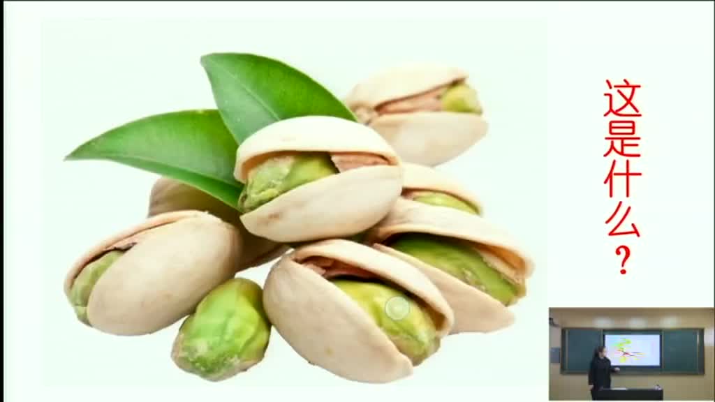 《做个开心果》第一课时 主讲:曹旭红