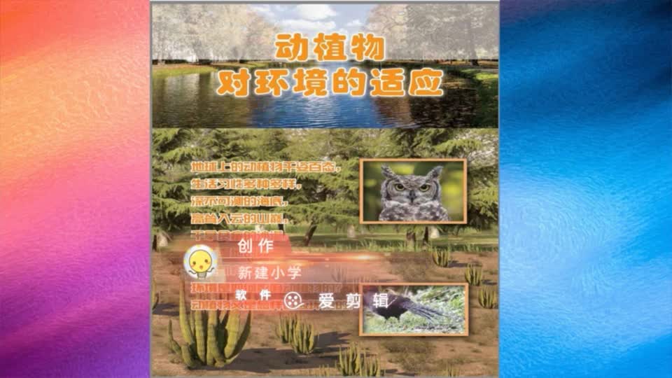 cbdcc5adcd25481c88ad713e1886d9fe-《仙人掌与莲》第一课时76d9c995a9f8cf9ae5a7f8bfec3b3d39-ld