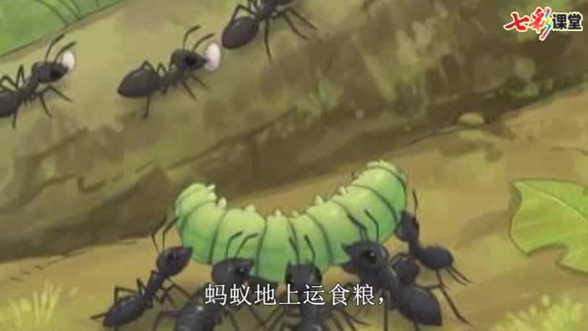 课文朗读-识字5 动物儿歌