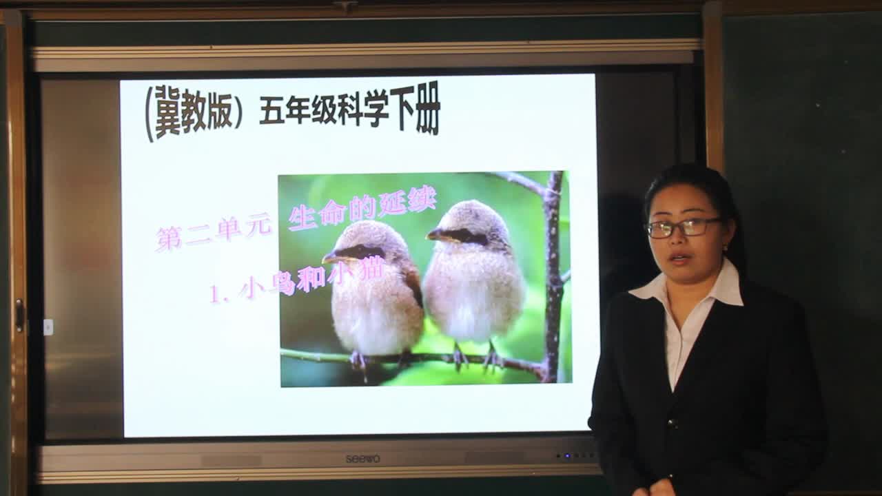 小鸟和小猫 主讲:马海燕