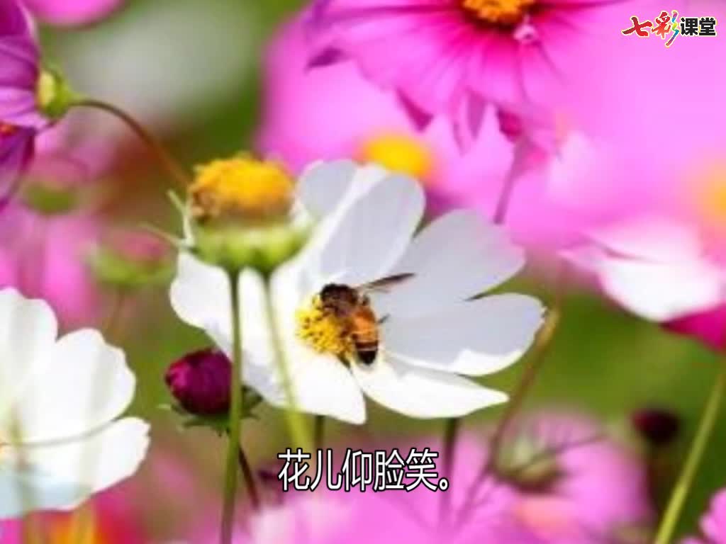 视频:朗读-谁和谁好