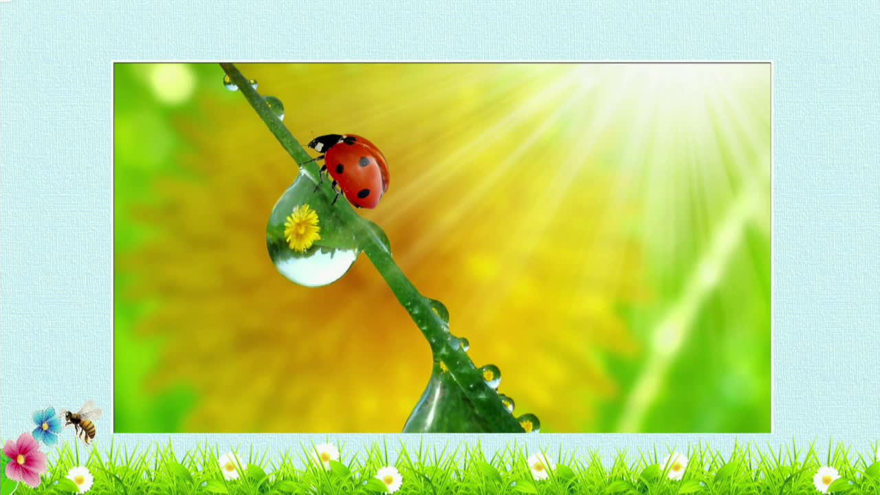  《蜜蜂》第1课时 主讲人：马海波