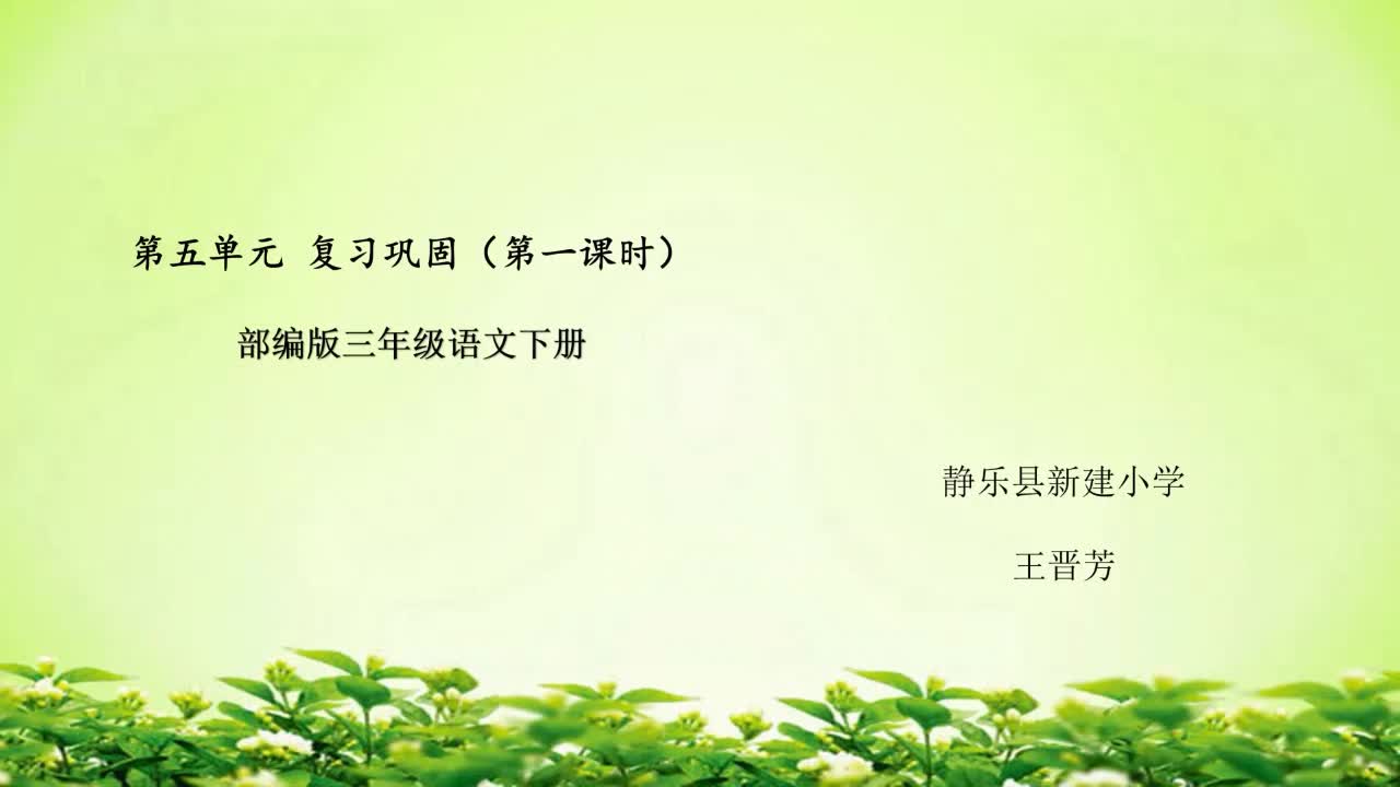 《第五单元复习课》第一课时 主讲人：王晋芳