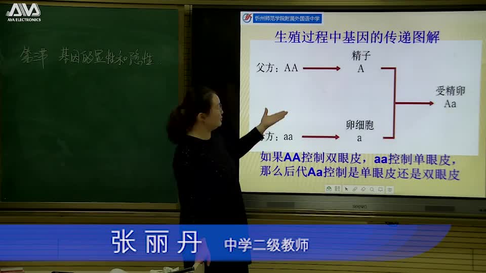 八年级生物《第二章第三节基因的显性和隐性》（1）视频 