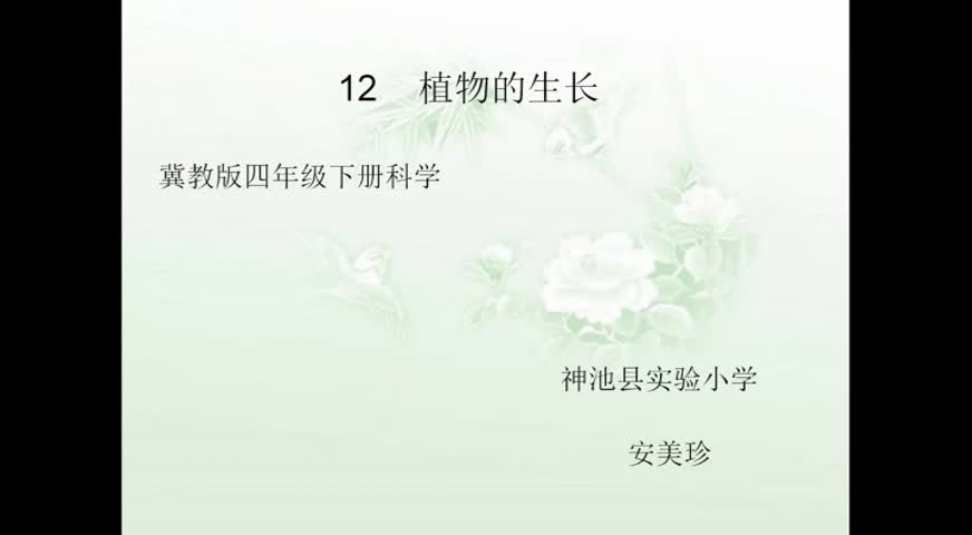 植物的生长 主讲:安美珍