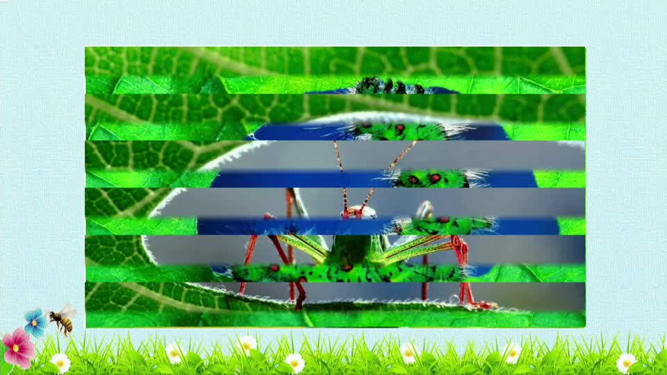 a2f1995057b54262831eff0fa0383348-《蜜蜂》第1课时0e66d7fe60109b40c8e900170ecff9da-ld