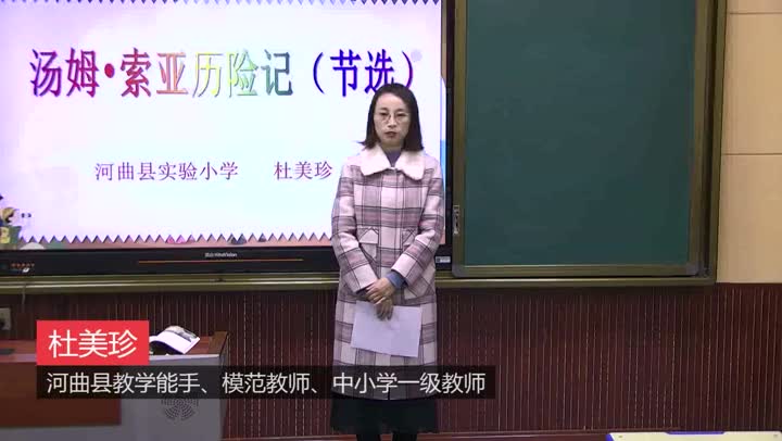 六年级语文《汤姆·索亚历险记》