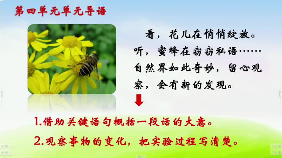 899d7291d20f49f0b9bbe96b1f05acf6-a《花钟》第1课时cd90446c7b871d036e236e701bcf914-ld