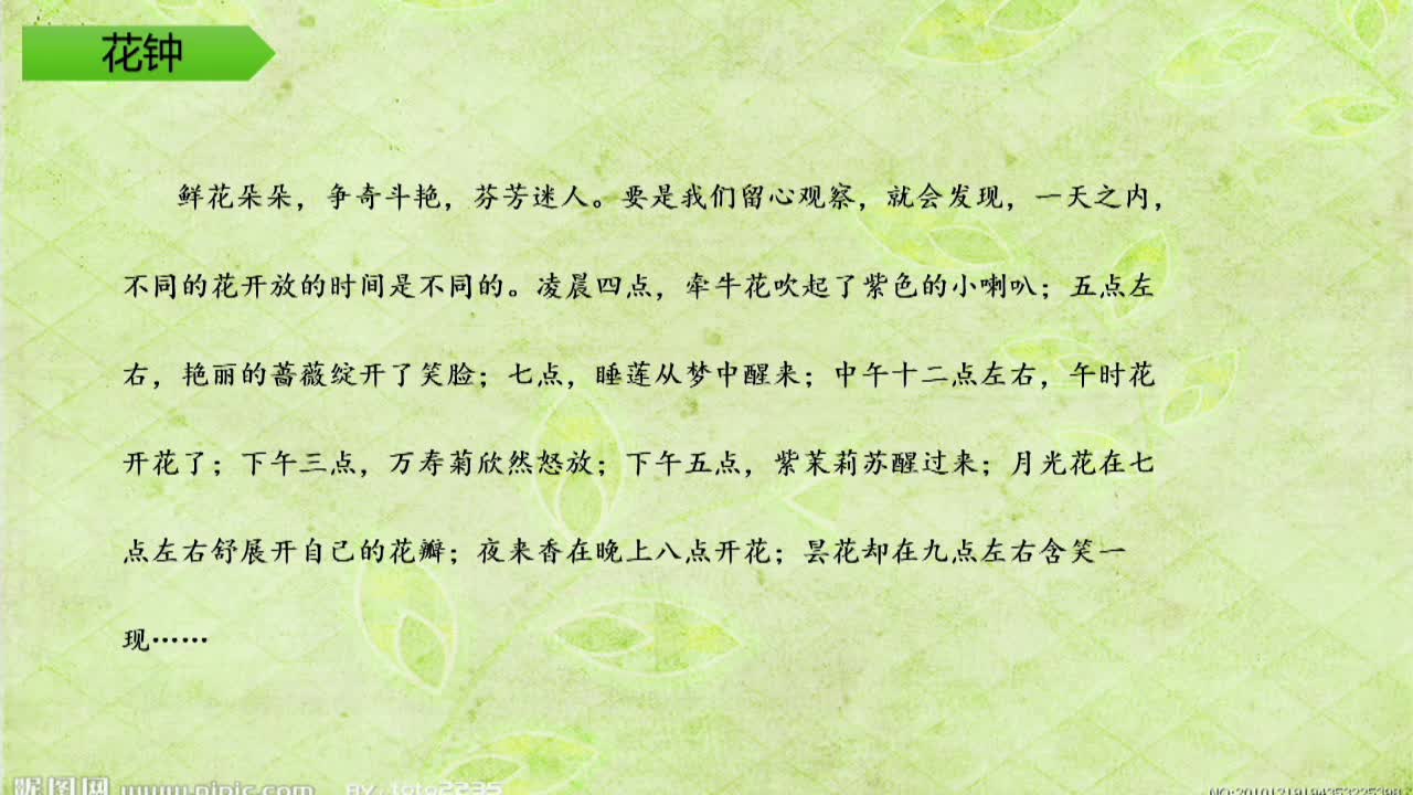 《观察与发现》第2课时 主讲人：程艳芳