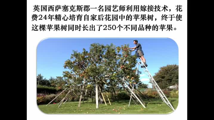 第一节植物的生殖（第二课时）1c35a25c06494aefb2f9af4d4ee90902-0ab6b4184dcfd53fad0a856c5e3764c0-ld