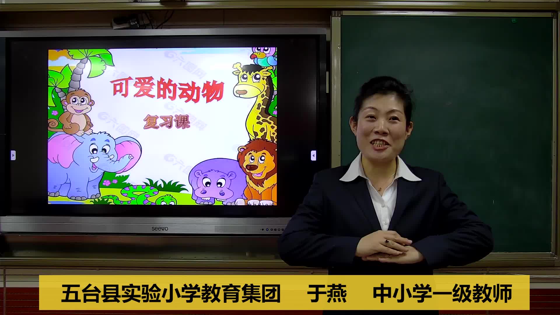 《可爱的动物》 主讲人：于燕