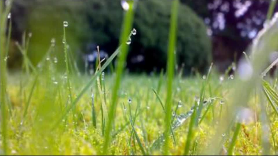 6f3e68083634428081dfcf566d13ea39-8《在天晴了的时候》第一课时a7a3494d925fe483957180a76c5fb51-ld