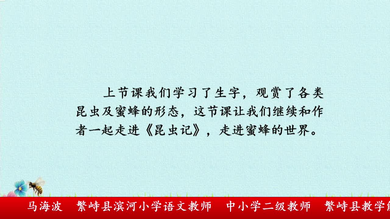 《蜜蜂》第2课时  主讲人：马海波