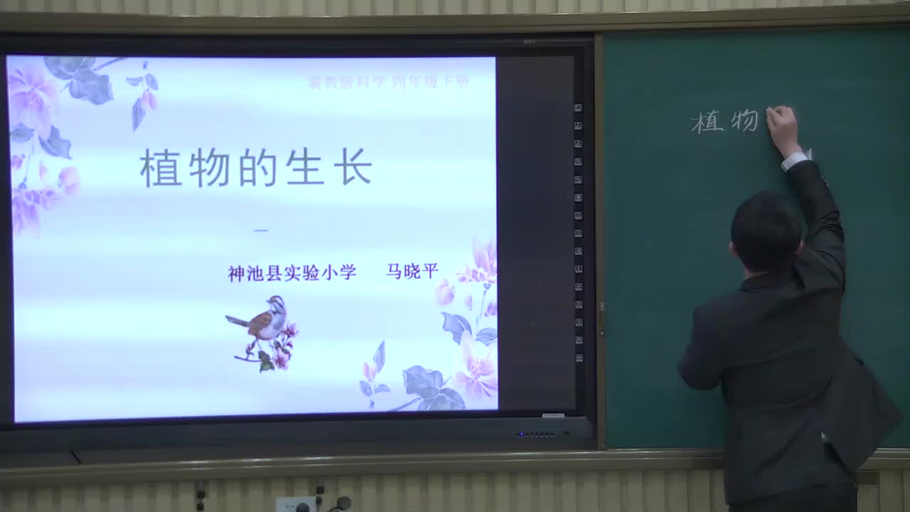 《植物的生长——怎样使植物生长的更好》主讲人：马晓平