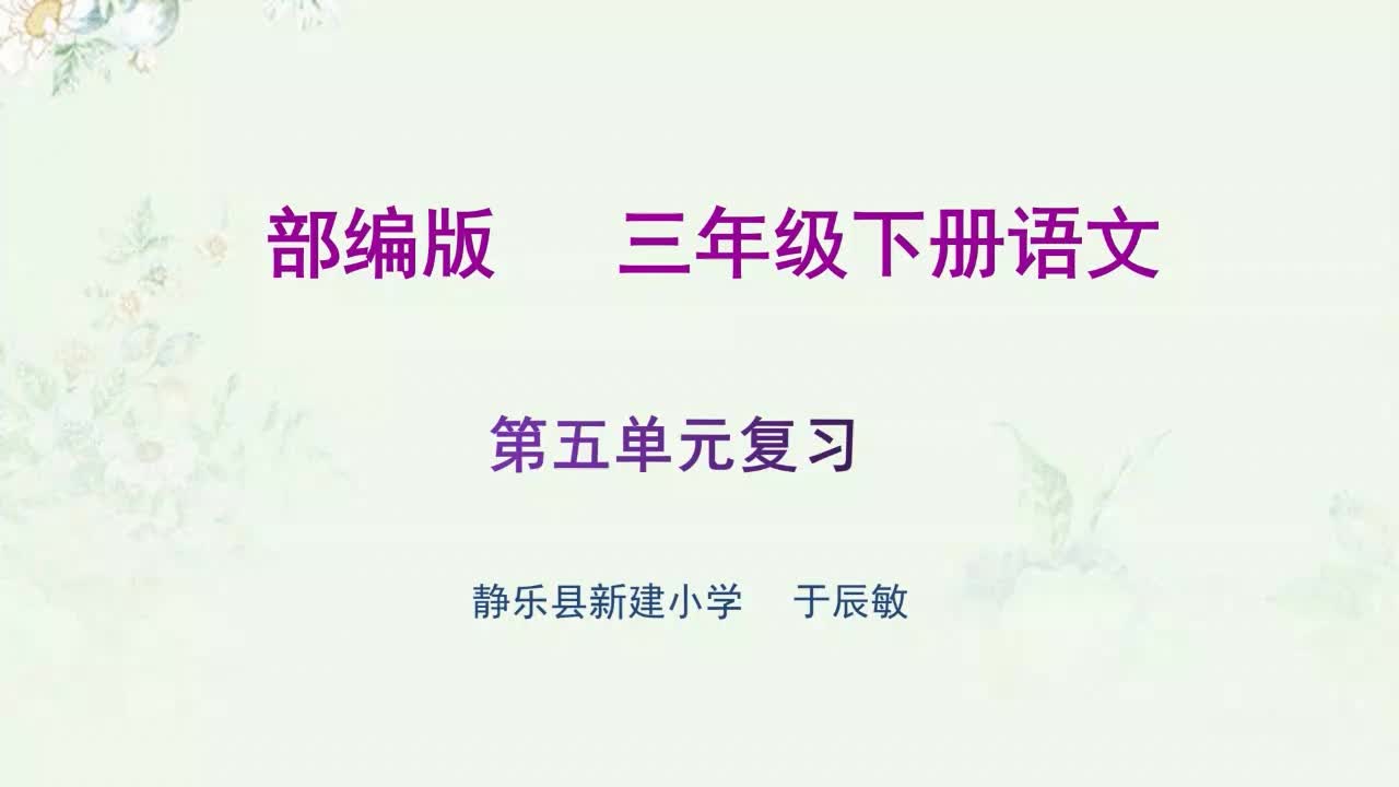 《第五单元复习课》第二课时 主讲人：于辰敏