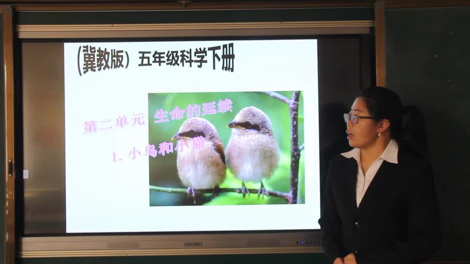 18e9c872cf5240bd81e59c425a5d4941-f小鸟和小猫692b3636e009317e2f32c6c27910754-ld