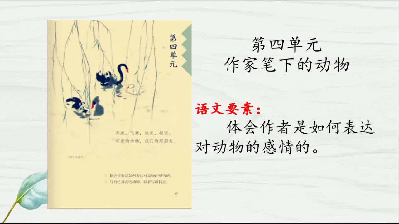 《第四单元复习课》第二课时 主讲人：亢笑潇