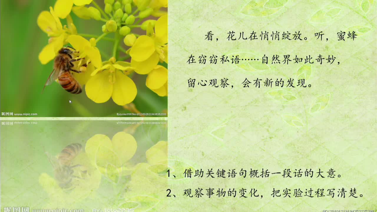 《观察与发现》第1课时 主讲人：程艳芳