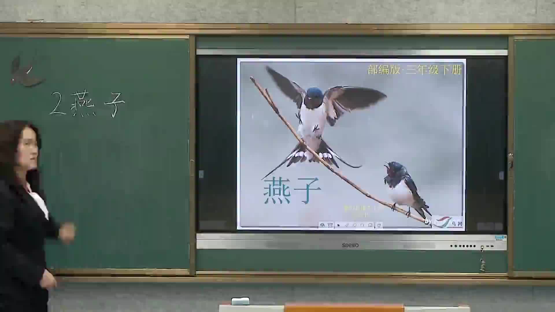 《燕子》第二课时   主讲：王晓平