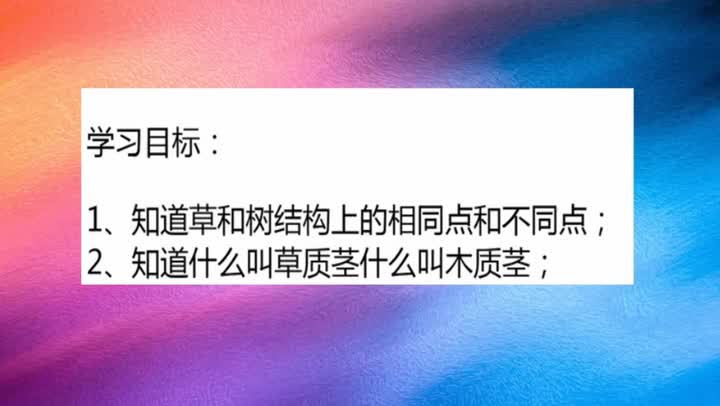 树与草   第1课时