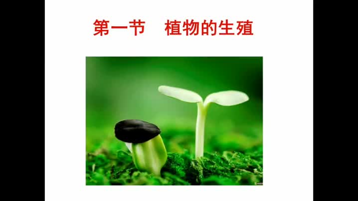 第一节植物的生殖（第一课时）6eda76cf79144cbb8aa1258378c39805-57db8d4b428404dc0ac2b9b3fdff324f-ld
