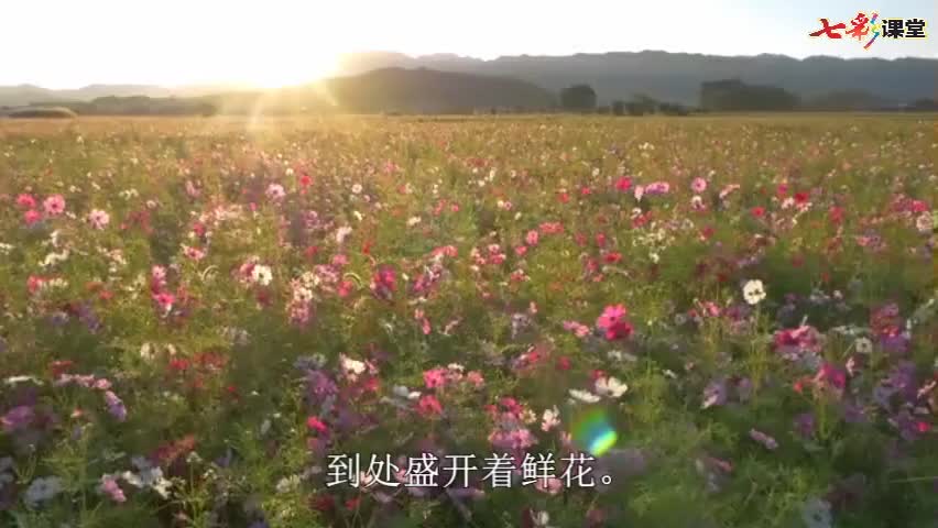 视频:朗读-祖国多么广大