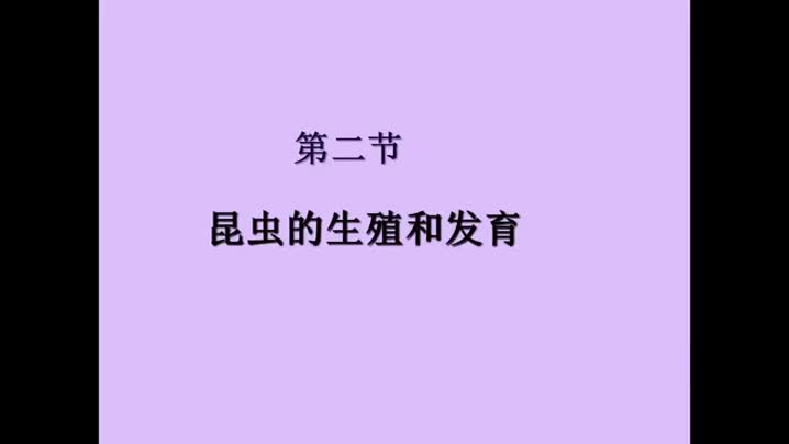 第二节昆虫的生殖和发育48545e22967647f4a5d3940d7df88169-699050ed3533e87e0700d6082b997d00-ld