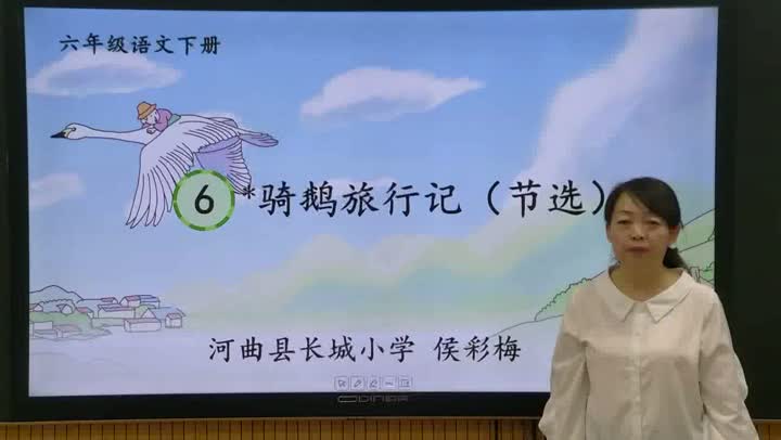 六年级语文《骑鹅旅行记》(节选)