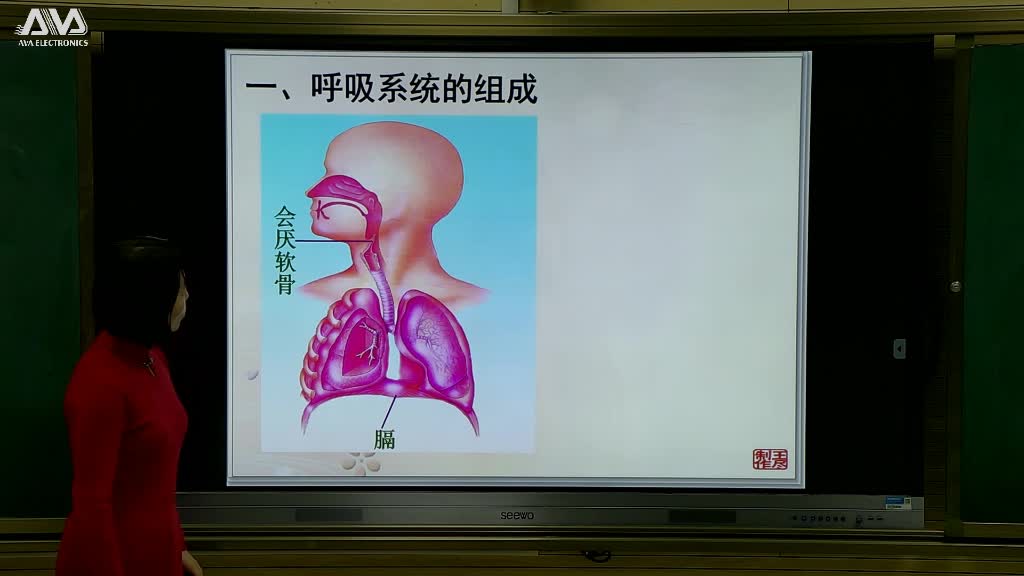 第三章第一节复习课                      