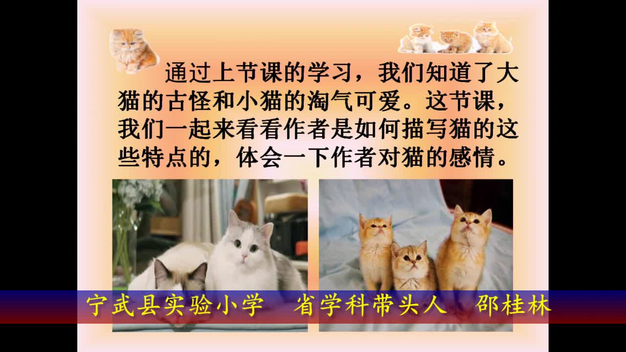 《猫》第二课时 主讲人:邵桂林