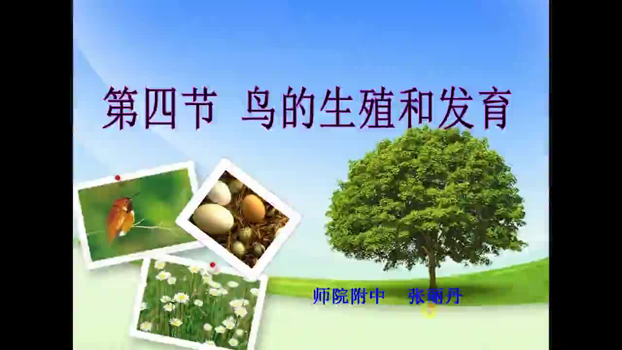 八年级生物第七单元第一章第四节《鸟类的生殖和发育》（1） 视频 张丽丹 忻州师院附中