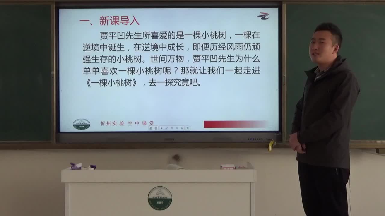 《一棵小桃树(第一课时)》主讲人:吕品
