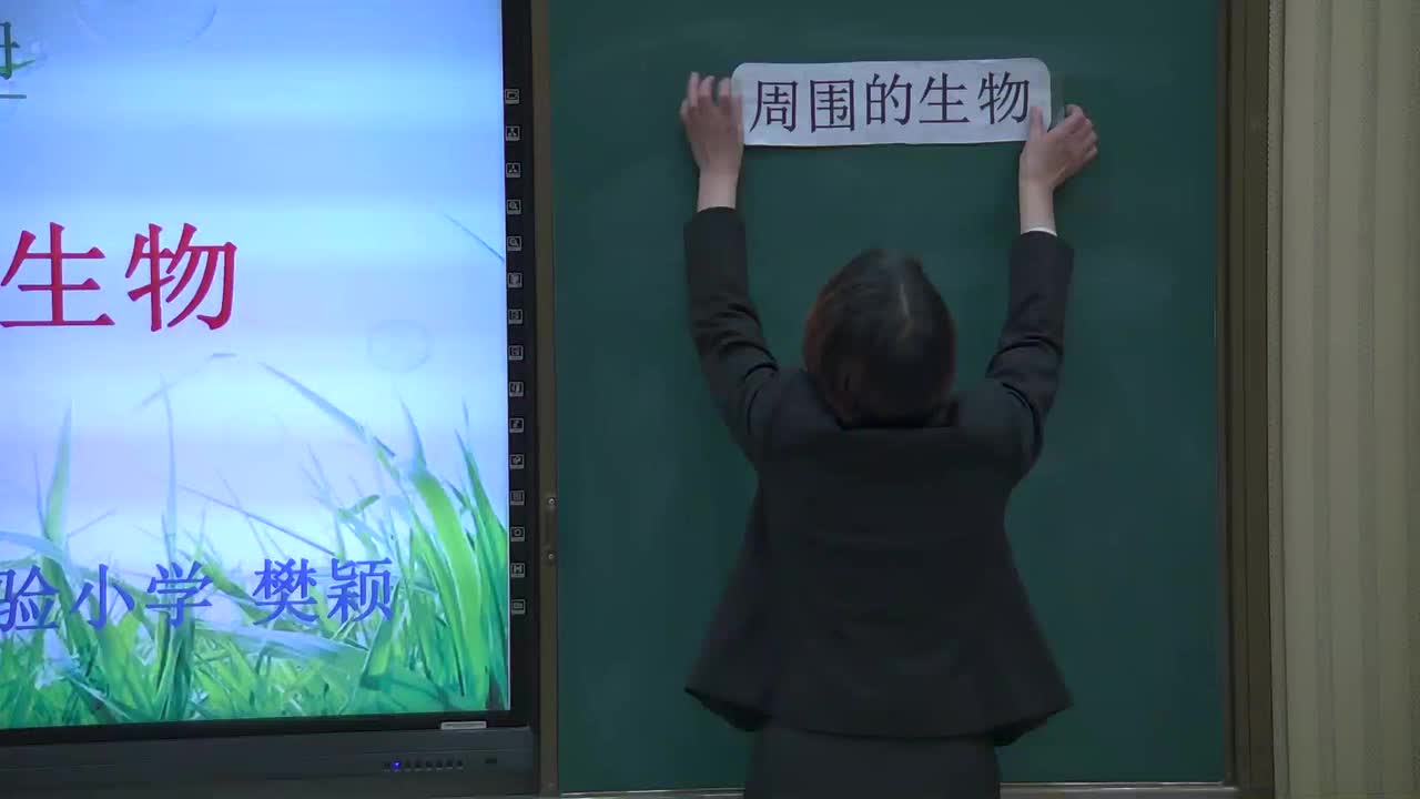 《周围的生物》 主讲人:樊颖